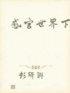 感官世界下载