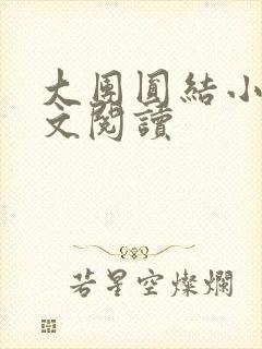 大团圆结小茹全文阅读封面