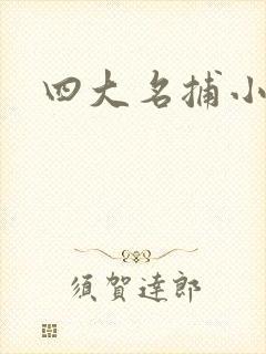 四大名捕小说