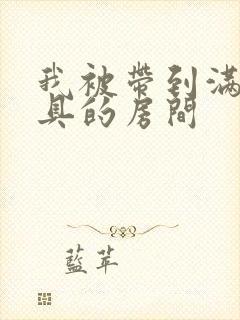 我被带到满是玩具的房间