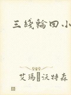 三线轮回小说