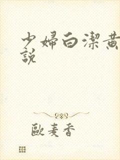 少妇白洁黄色小说