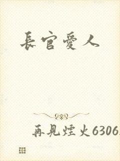 长官爱人封面