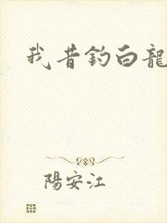 我昔钓白龙封面