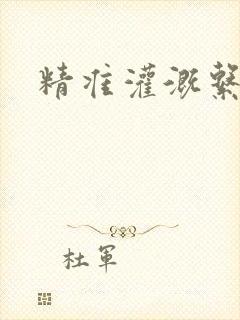 精准灌溉系统封面