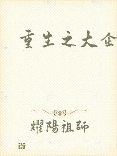 重生之大企业家