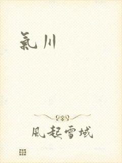 气川封面