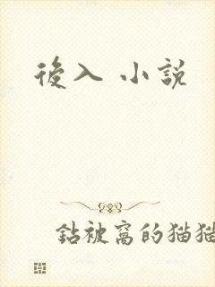 后入 小说