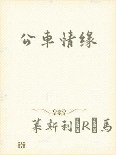 公车情缘