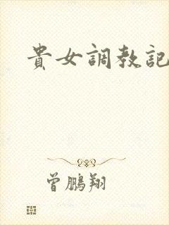 贵女调教记