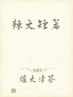 辣文短篇