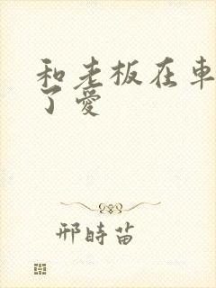 和老板在车里做了爱