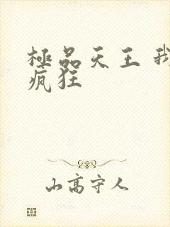 极品天王 我本疯狂