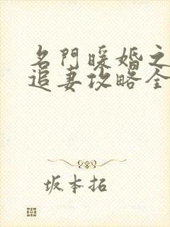 名门暖婚之权爷追妻攻略全文免费阅读