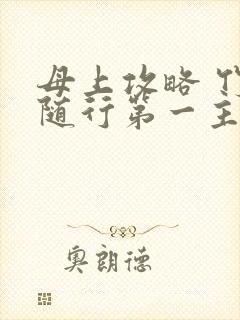 母上攻略 竹影随行第一主板