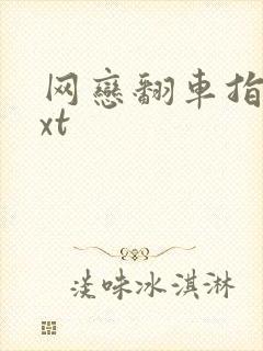 网恋翻车指南txt封面