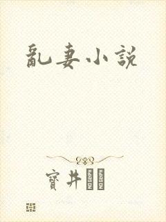 乱妻小说