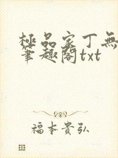 极品家丁无删节笔趣阁txt