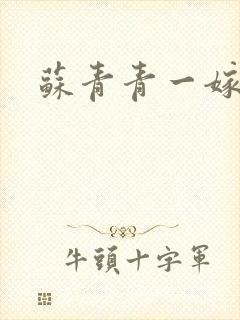 苏青青一嫁三夫