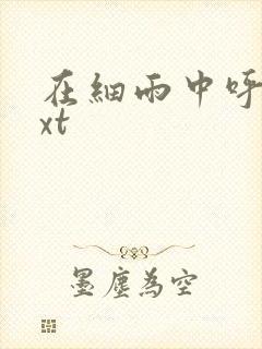 在细雨中呼喊txt