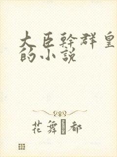 大臣干群皇太后的小说