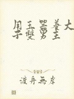 用玉器养大的皇子双男主