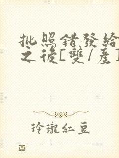 批照错发给情敌之后[双/产]