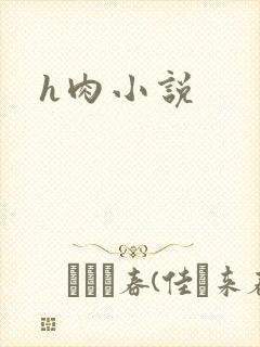 h肉小说