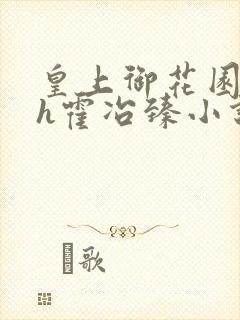 皇上御花园hlh霍冶臻小说封面