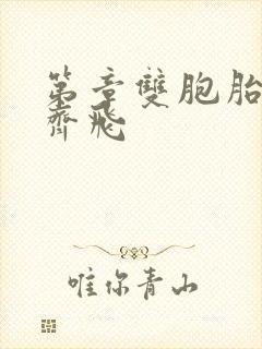 第章双胞胎姐妹齐飞封面