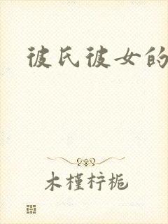 彼氏彼女的故事