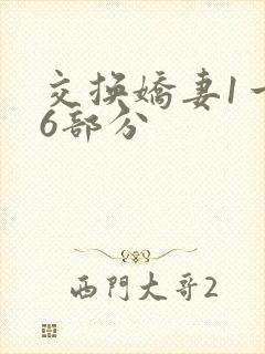 交换娇妻1一36部分