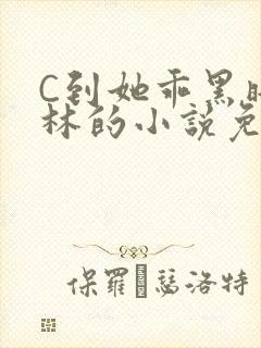 C到她乖黑暗森林的小说免费