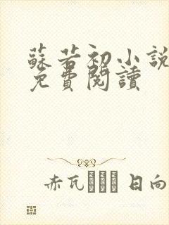 苏若初小说全文免费阅读封面