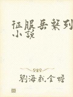 征服岳系列短篇小说封面