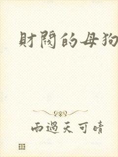 财阀的母狗们