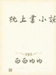 枕上书小说封面