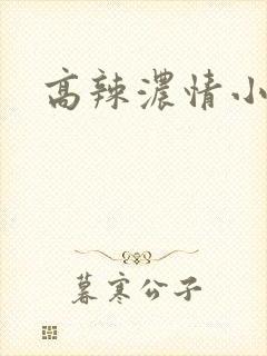 高辣浓情小说