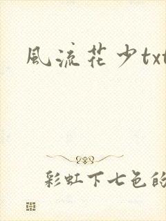 风流花少txt封面