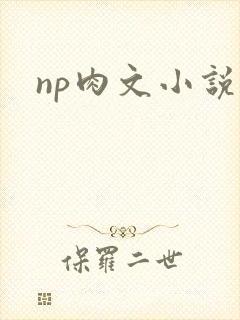 np肉文小说