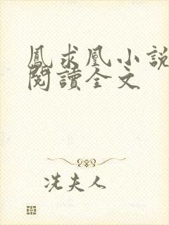 凤求凰小说免费阅读全文