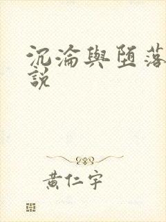 沉沦与堕落的小说