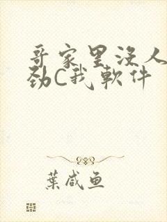 哥家里没人使点劲C我软件