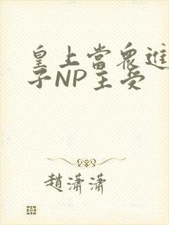 皇上当众进入太子NP主受封面