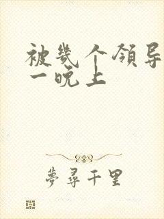 被几个领导玩弄一晚上封面