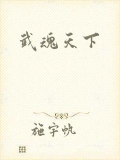 武魂天下封面