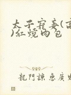 太子宠妾(高肉)红烧肉包