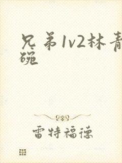 兄弟1v2林青碗封面