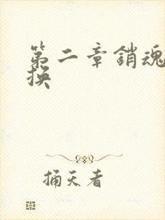 第二章销魂的交换