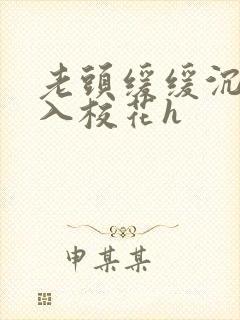 老头缓缓沉腰进入校花h